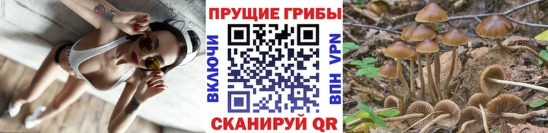 Псилоцибиновые грибы MAGIC MUSHROOMS  Купить  Южа 